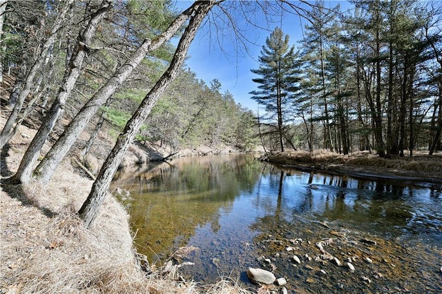 water view with a wooded view