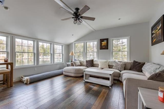 living room featuring ceiling fan, a healthy amount of sunlight, dark wood-style floors, and vaulted ceiling