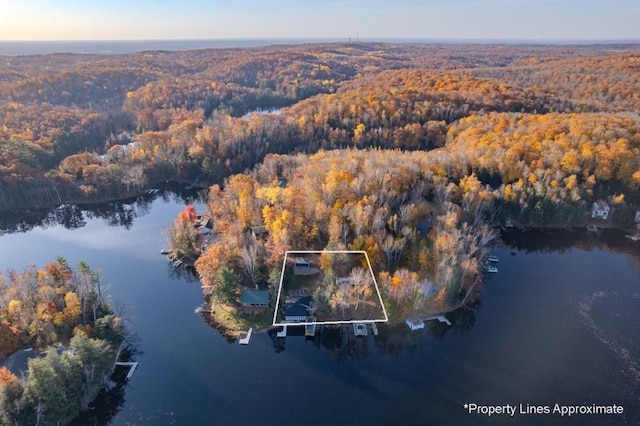 drone / aerial view with a view of trees and a water view