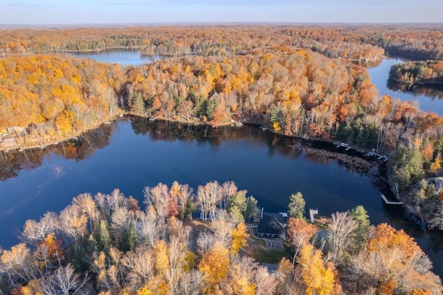 bird's eye view with a view of trees and a water view