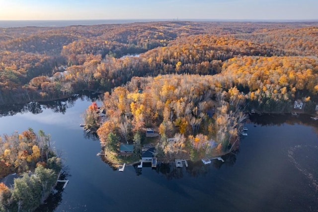 bird's eye view with a water view and a wooded view