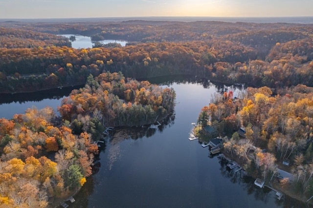 bird's eye view with a view of trees and a water view