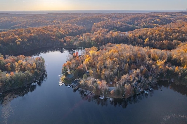 drone / aerial view with a wooded view and a water view