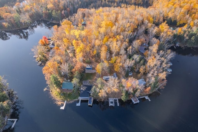 drone / aerial view with a forest view and a water view