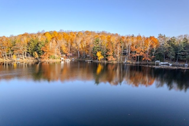 water view with a view of trees