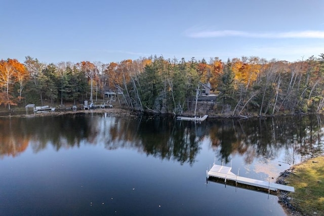 dock area featuring a forest view and a water view