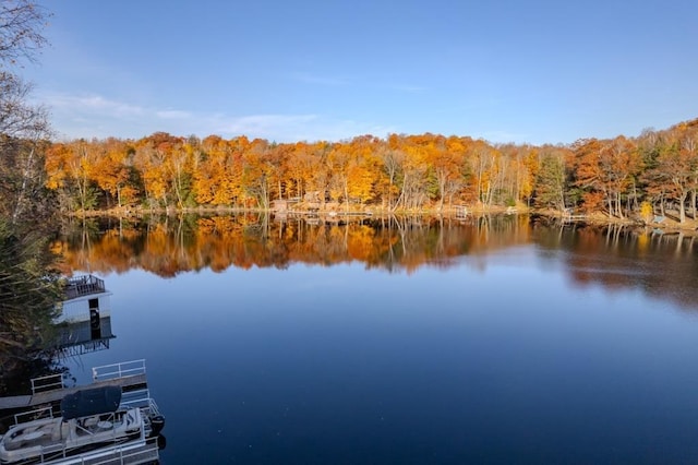 property view of water featuring a wooded view