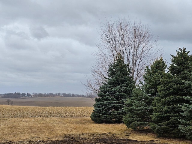 view of nature featuring a rural view