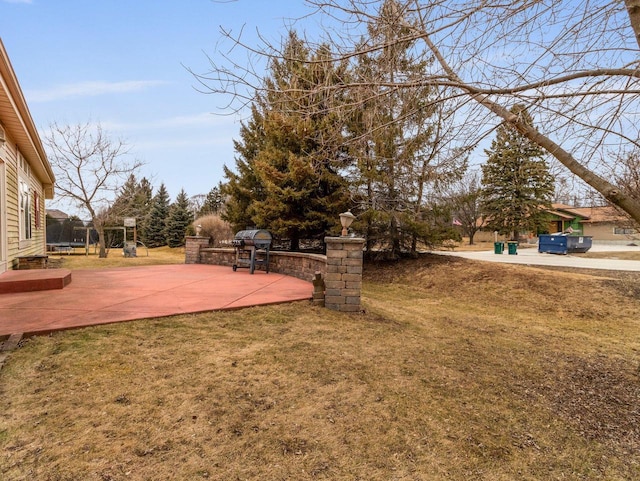 view of yard with a patio