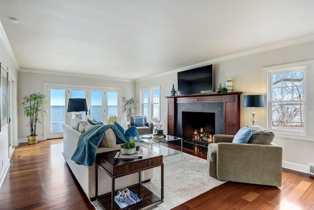 living room with wood finished floors, baseboards, a wealth of natural light, and a premium fireplace