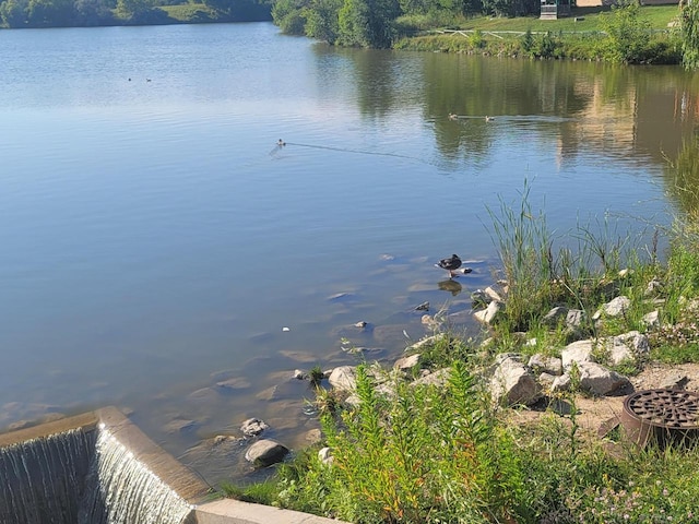 view of water feature