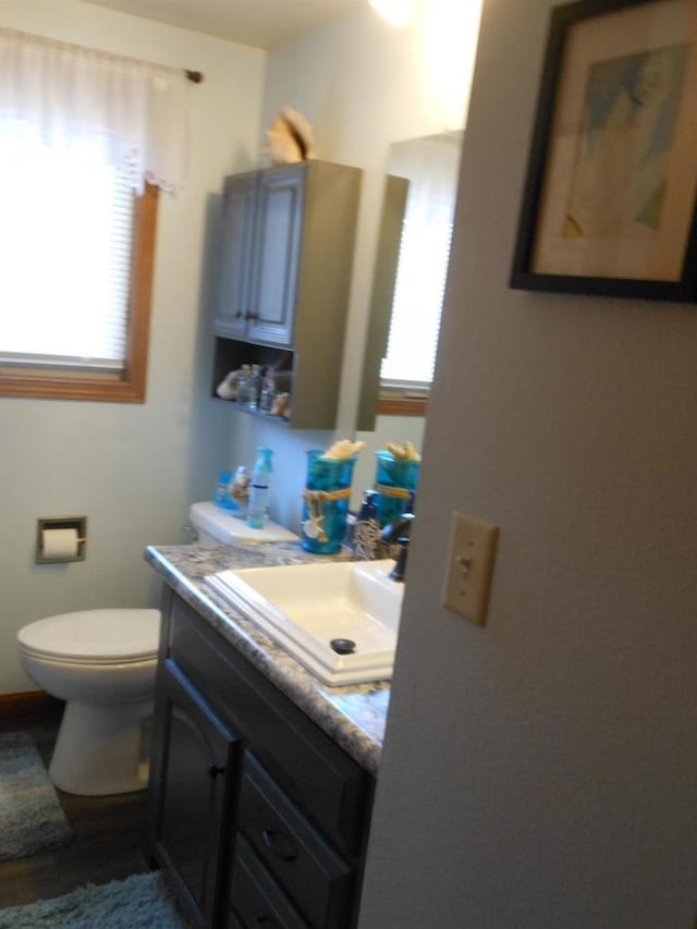 bathroom featuring toilet and vanity