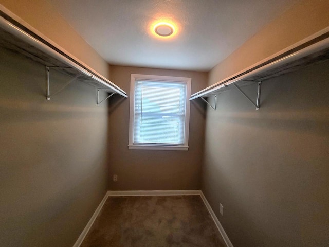 walk in closet with carpet