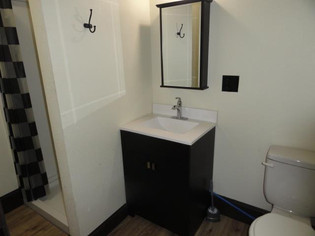 full bathroom featuring a shower stall, toilet, vanity, and wood finished floors