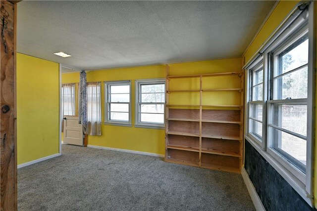 N7030 Little Valley Rd, Spooner, WI 54801 - carpeted spare room with baseboards and a textured ceiling
