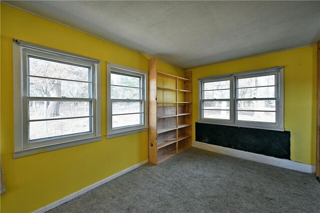 N7030 Little Valley Rd, Spooner, WI 54801 - unfurnished room with baseboards, carpet floors, and a textured ceiling