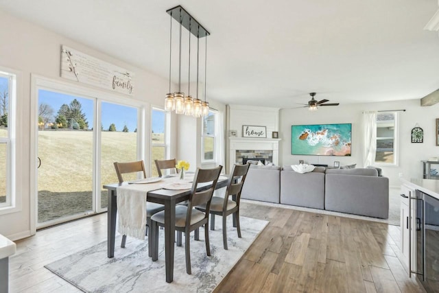 dining area featuring a fireplace, light wood-style floors, a wealth of natural light, and ceiling fan