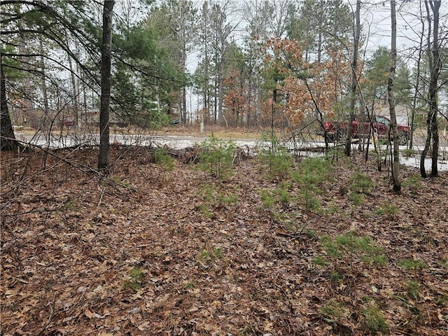 Listing photo 2 for TBD1 Pine Chip Dr, Barnes WI 54873