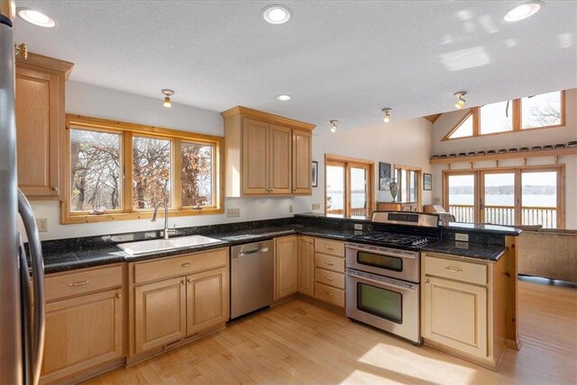 kitchen with a sink, appliances with stainless steel finishes, a peninsula, light wood finished floors, and lofted ceiling