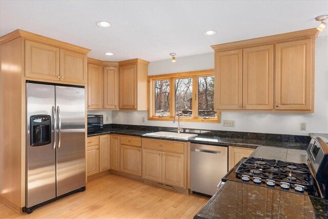 kitchen with a sink, light brown cabinetry, and stainless steel appliances