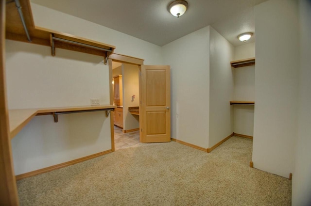 spacious closet featuring light colored carpet