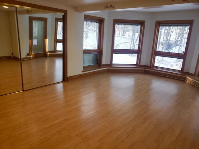 empty room featuring plenty of natural light and light wood-style floors