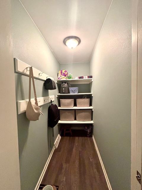 walk in closet featuring visible vents and wood finished floors