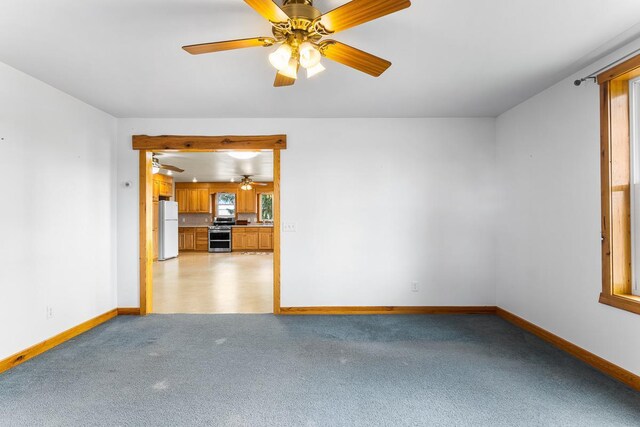 N402 24th Ave, Neshkoro, WI 54960 - spare room with baseboards, a healthy amount of sunlight, a ceiling fan, and light carpet