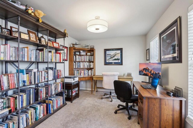 6109 Misty Bridge Rd, Madison, WI 53718 - carpeted home office featuring baseboards
