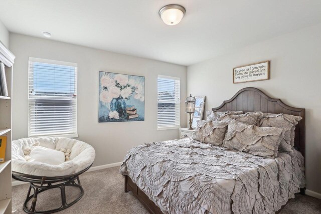 6109 Misty Bridge Rd, Madison, WI 53718 - carpeted bedroom featuring baseboards