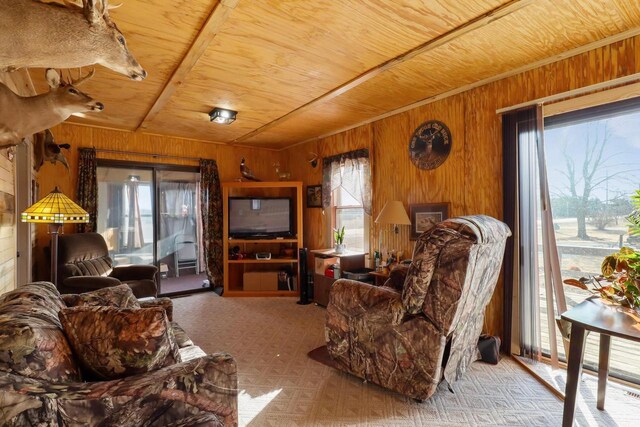 523 State Highway 73, Nekoosa, WI 54457 - living room with wooden ceiling, wooden walls, and plenty of natural light