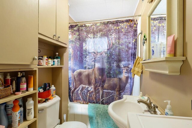 523 State Highway 73, Nekoosa, WI 54457 - full bathroom with a shower with shower curtain and toilet