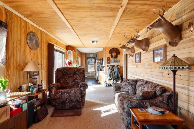 523 State Highway 73, Nekoosa, WI 54457 - living area with wooden ceiling and wooden walls