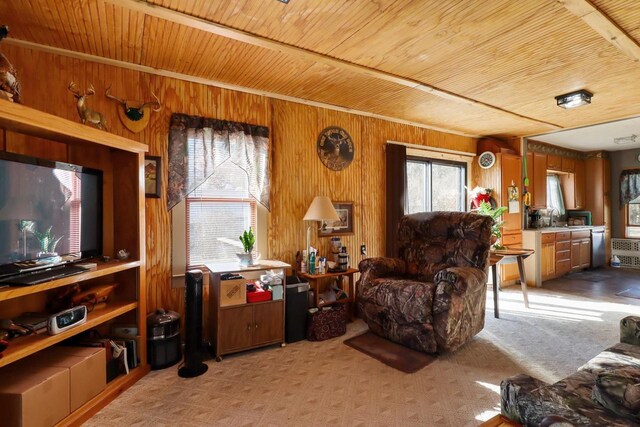 523 State Highway 73, Nekoosa, WI 54457 - living room featuring wooden ceiling, wooden walls, and light carpet
