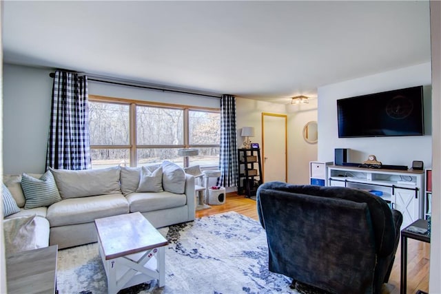 living area with wood finished floors