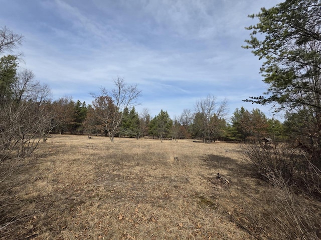 view of local wilderness