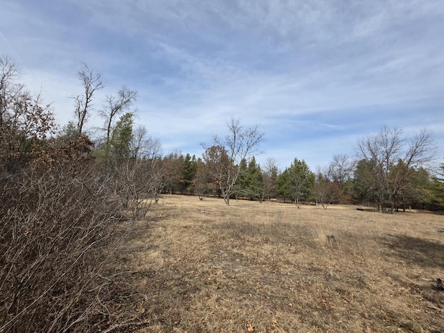 view of local wilderness