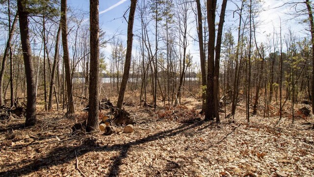 204629 Lake Dr, Rosholt, WI 54473 - view of nature featuring a view of trees