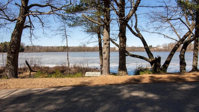 204629 Lake Dr, Rosholt, WI 54473 - property view of water