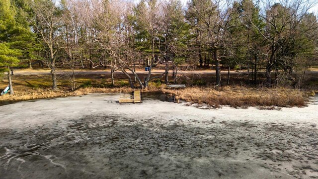 204629 Lake Dr, Rosholt, WI 54473 - view of yard