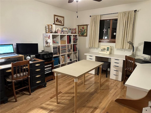 office area featuring light wood-type flooring and a ceiling fan