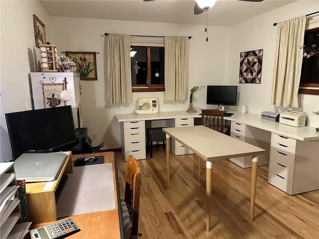 office space featuring light wood-style floors and a ceiling fan