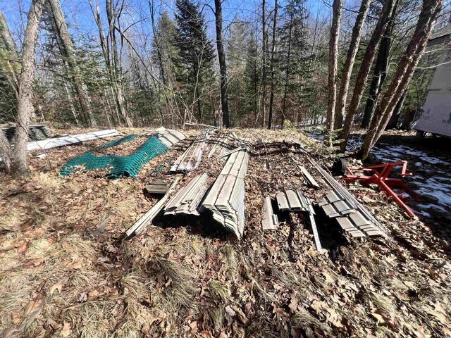 W8204 Kafka Rd, Wausaukee, WI 54159 - exterior space with a view of trees
