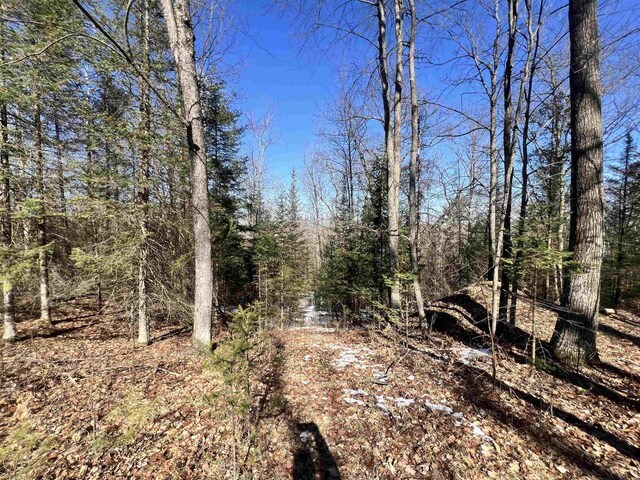 W8204 Kafka Rd, Wausaukee, WI 54159 - view of landscape featuring a forest view
