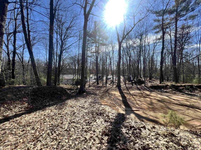 W8204 Kafka Rd, Wausaukee, WI 54159 - view of landscape