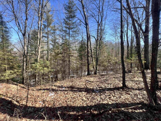 W8204 Kafka Rd, Wausaukee, WI 54159 - view of local wilderness with a view of trees