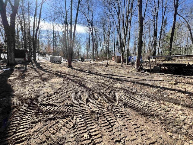 W8204 Kafka Rd, Wausaukee, WI 54159 - view of yard