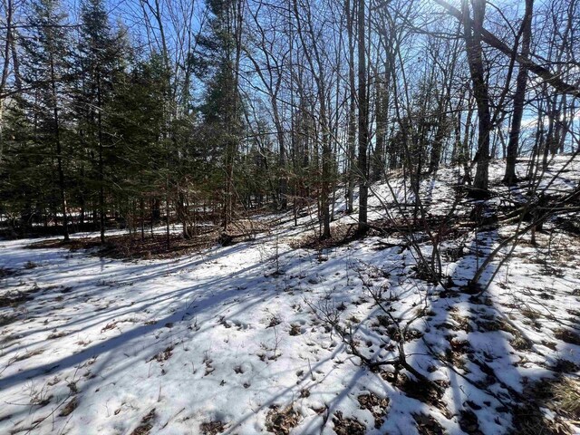 W8204 Kafka Rd, Wausaukee, WI 54159 - view of snowy landscape
