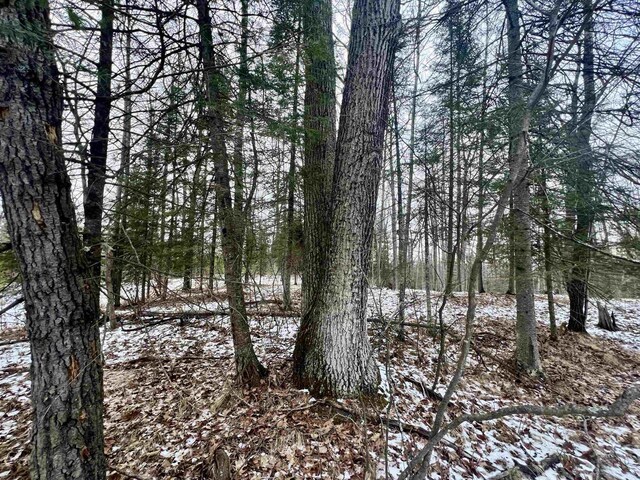 W8204 Kafka Rd, Wausaukee, WI 54159 - view of landscape