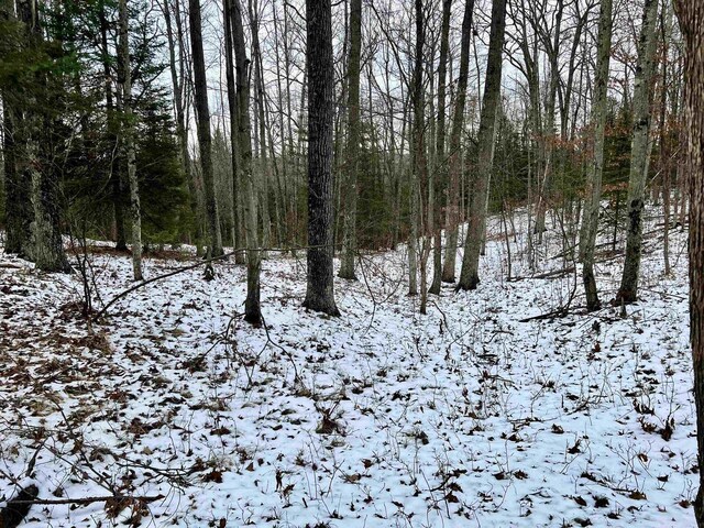 W8204 Kafka Rd, Wausaukee, WI 54159 - snowy view with a forest view